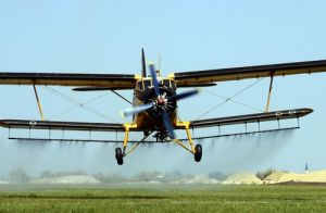 Kétnapos légi szúnyogirtás kezdődik csütörtökön a Balatonnál